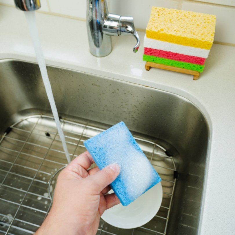 Cellulose Natural Cleaning Sponge