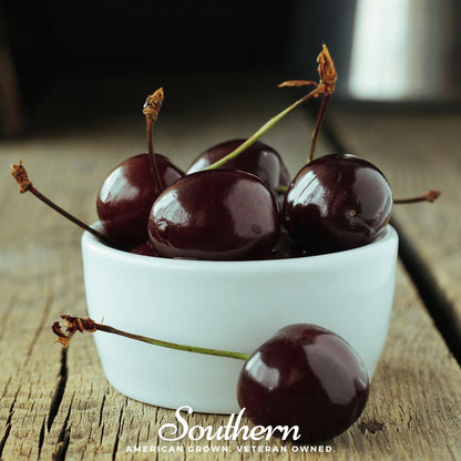 Black Cherry – 15 Seeds