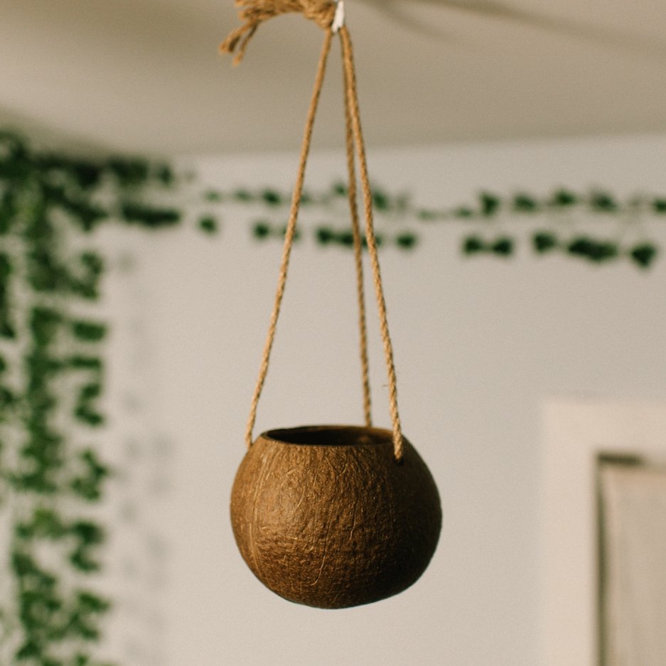 Coconut Planter with Jute Twine