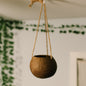 Coconut Planter with Jute Twine