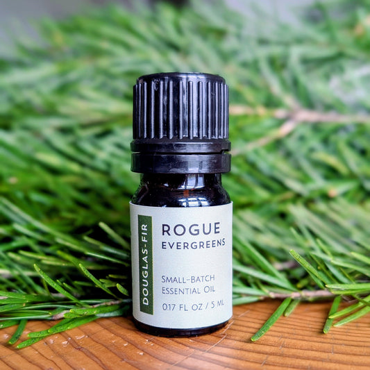 Douglas-fir Essential Oil