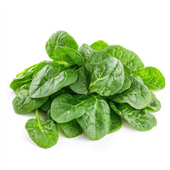 50 'Big Round Leaf' Malabar Spinach (Basella Alba) Seeds