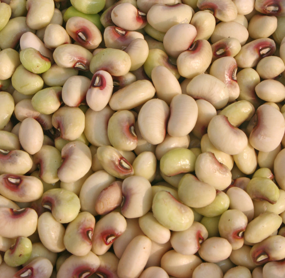 50 Purple Pinkeye Cowpea (Vigna Unguiculata) Seeds