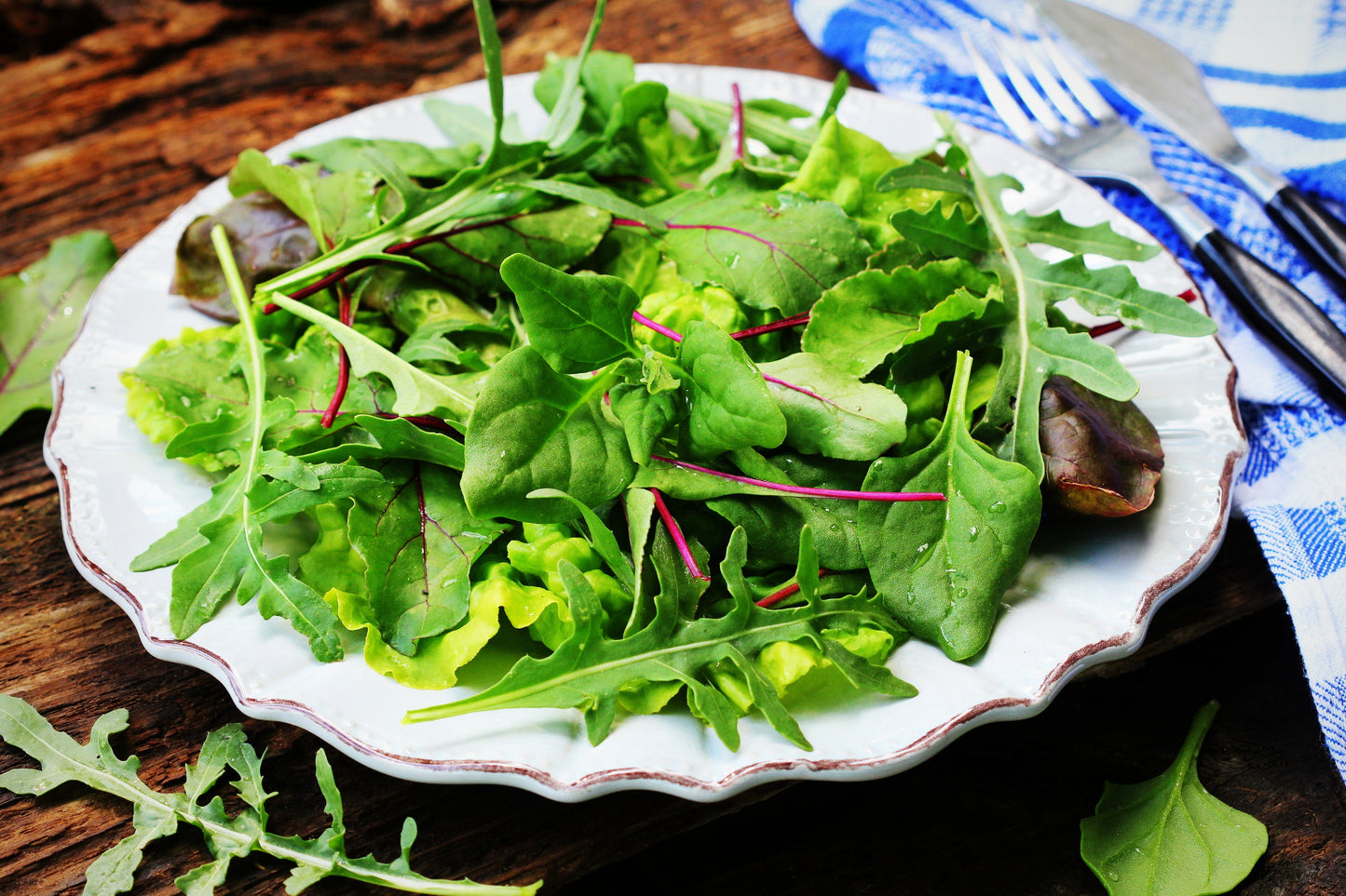60 New Zealand Spinach (Tetragonia Tetragonioides) Seeds