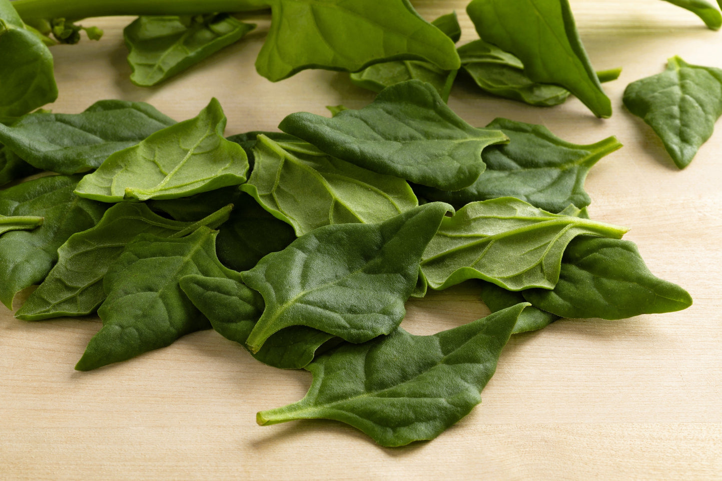 60 New Zealand Spinach (Tetragonia Tetragonioides) Seeds