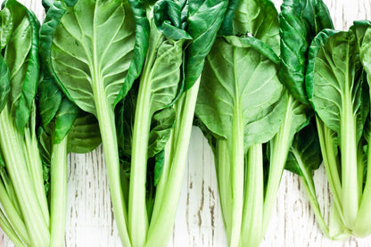 1000 TATSOI Brassica Rapa Rosularis Tat Soi Bok Choy Spinach Mustard Vegetable Seeds