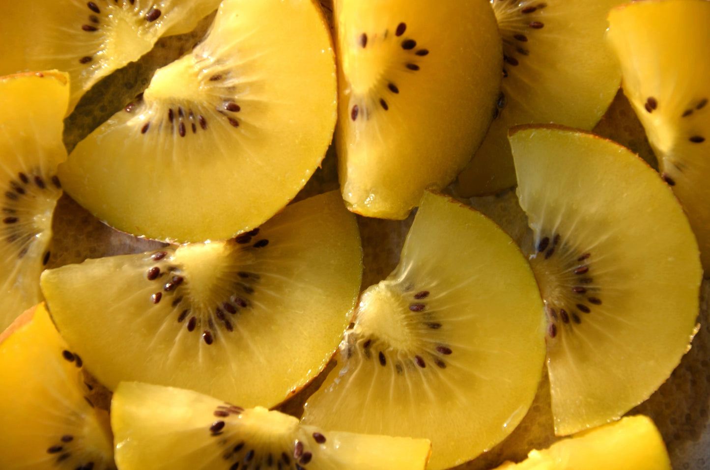 50 Golden Kiwi Fruit (Actinidia Chinensis) Seeds