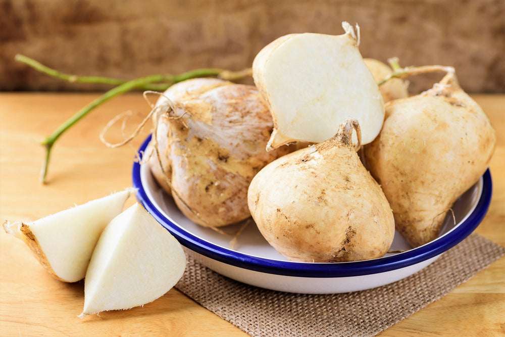 20 Jicama (Pachyrhizus Erosus) Seeds
