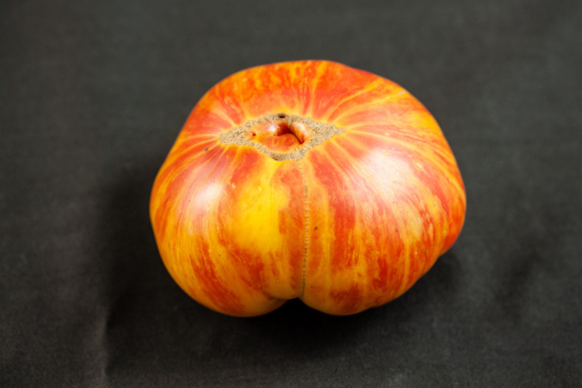 Oaxacan Jewel Tomato (Solanum lycopersicum) Seeds – 50 ct