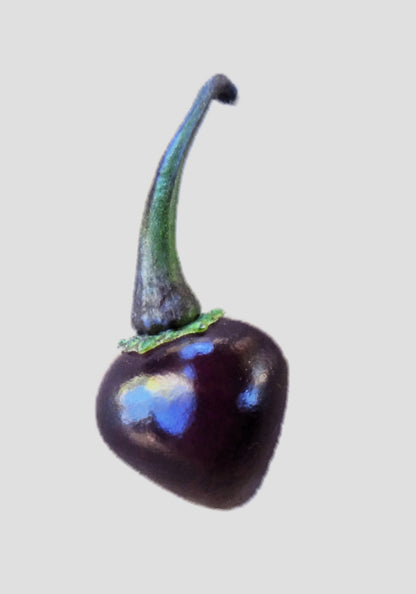50 Variegated Purple Tiger Pepper (Capsicum Annuum) Seeds