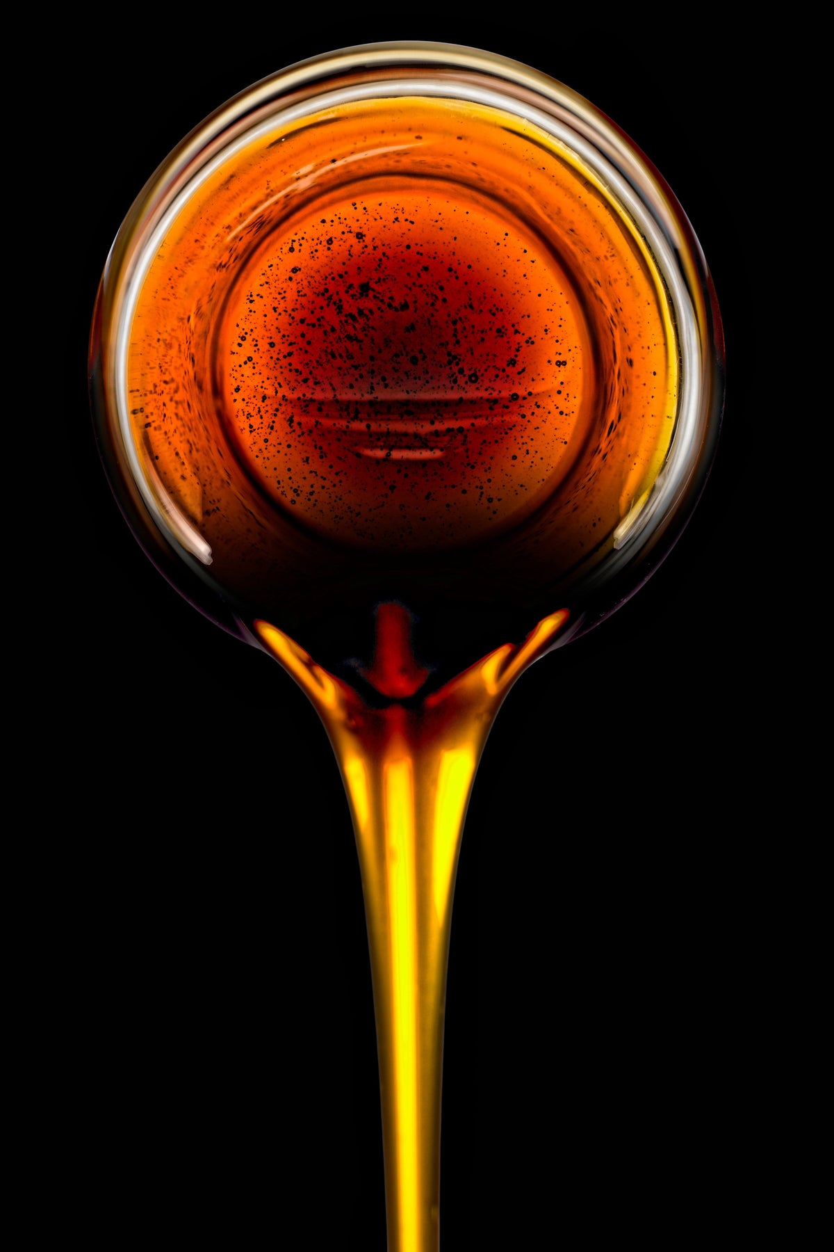 Honey Drip Sorghum (Sorghum bicolor) Seeds – 50 ct