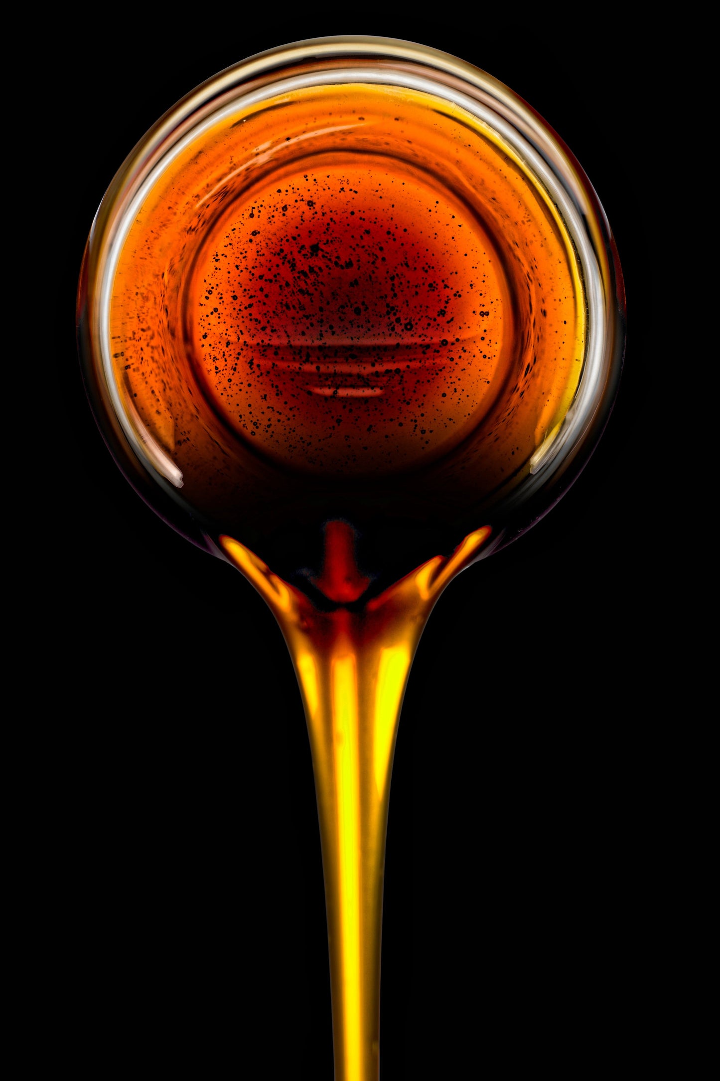 1 Lb  Honey Drip Sorghum (Sorghum Bicolor) Seeds