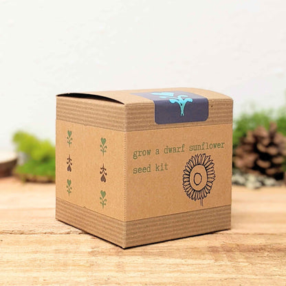 Dwarf Sunflower Beginner Grow Kit