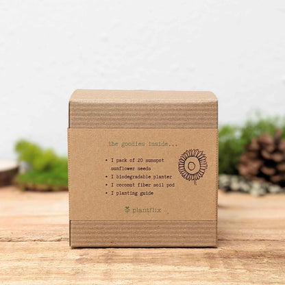 Dwarf Sunflower Beginner Grow Kit