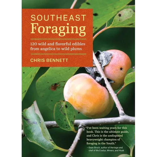 Southeast Foraging: 120 Wild and Flavorful Edibles from Angelica to Wild Plums - Paperback
