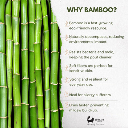 Bamboo Hairbrush with Wooden Pins