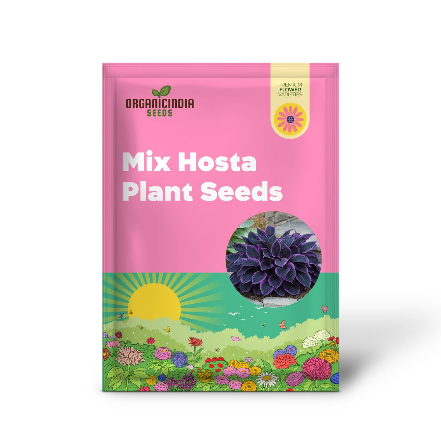 Purple Black Hosta Plant Seeds