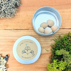 Ginkgo Biloba 'Maidenhair Tree' Seeds