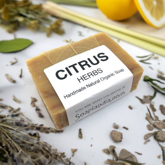 Citrus Herbs Bar Soap