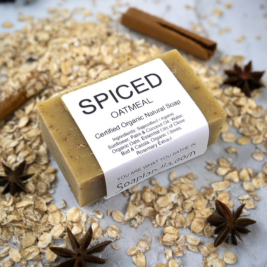Spiced Oatmeal Bar Soap