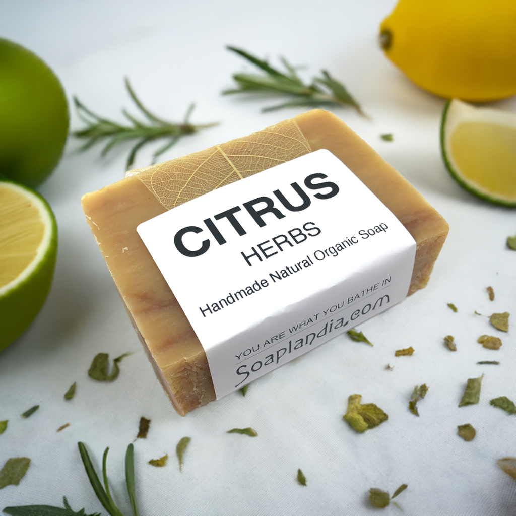 Citrus Herbs Bar Soap