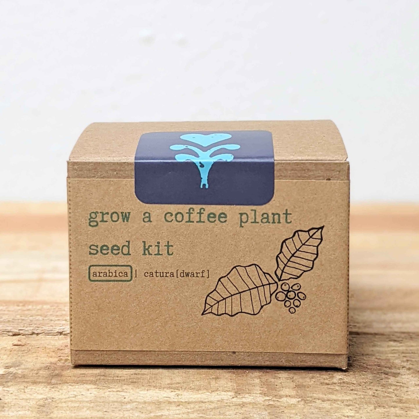 Grow a Coffee Plant Seed Kit