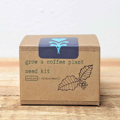 Grow a Coffee Plant Seed Kit