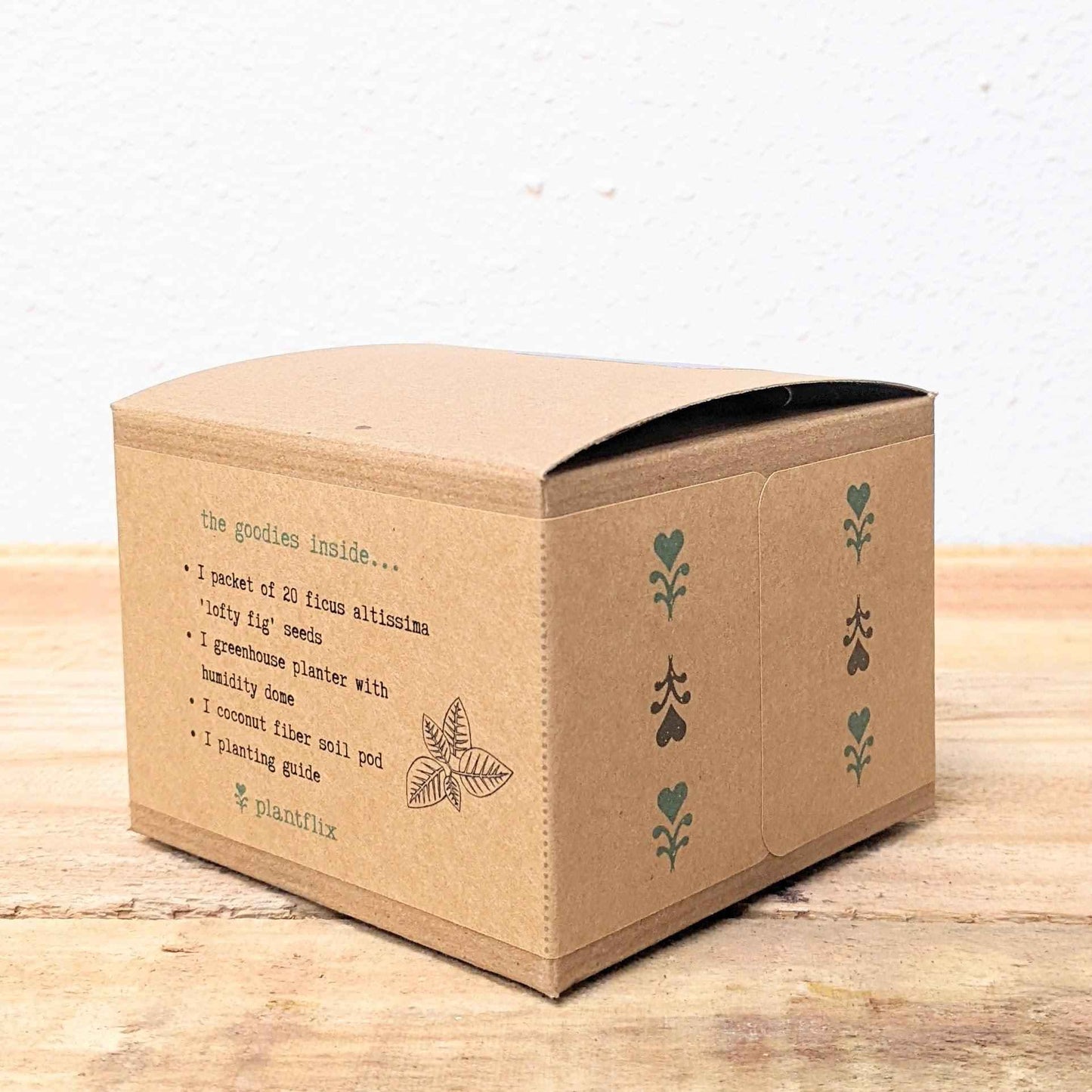 Grow a Ficus Altissima Seed Kit