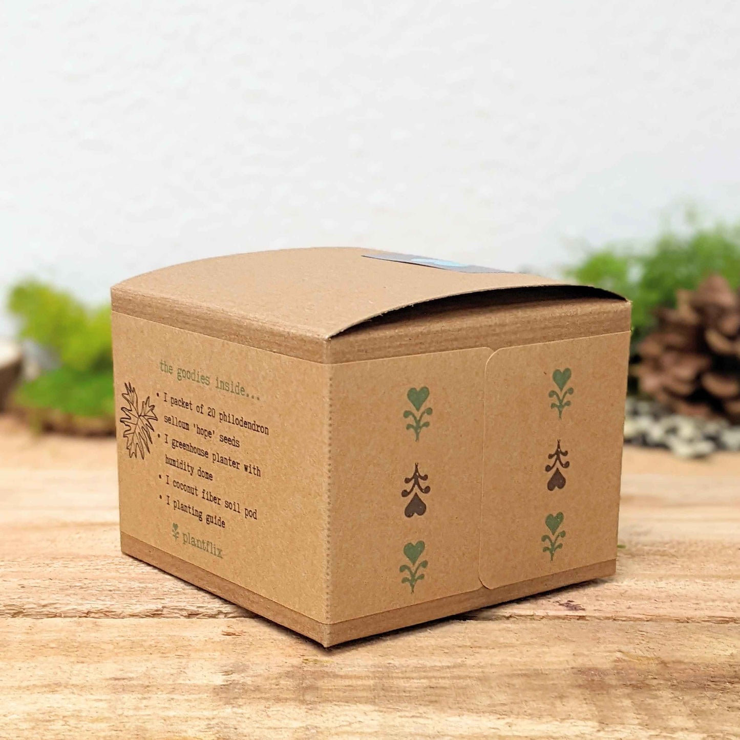 Grow a Philodendron Seed Kit