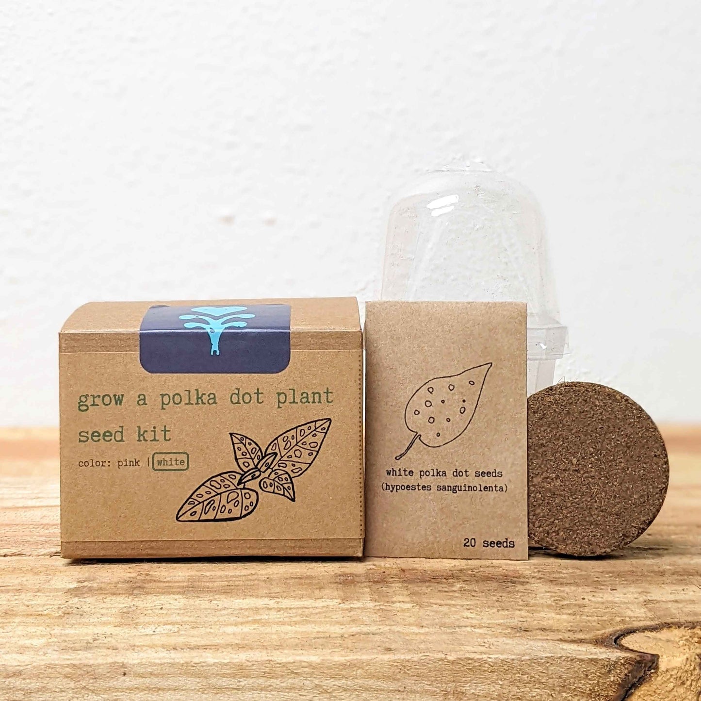 Grow a Polka Dot Seed Kit