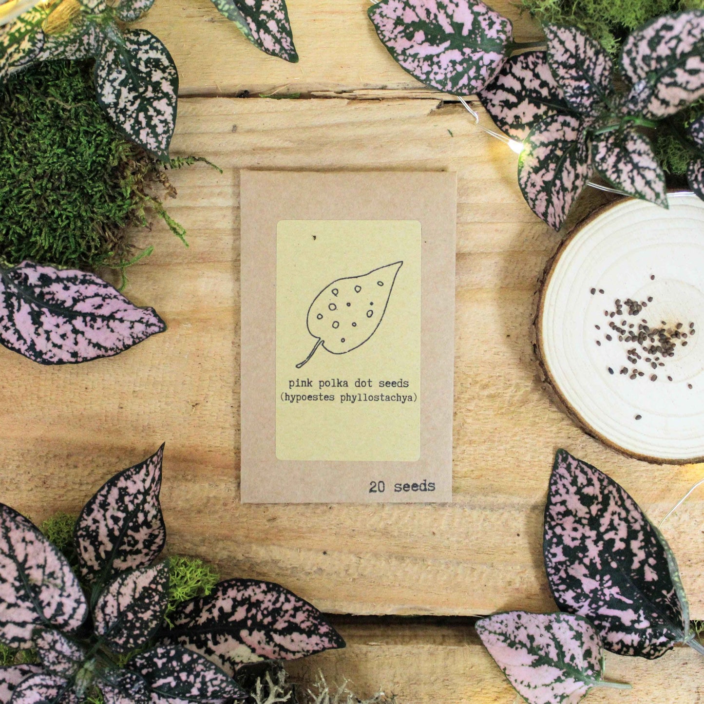 Grow a Polka Dot Seed Kit