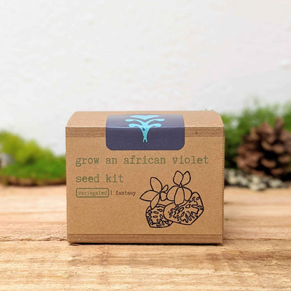 Grow an African Violet Seed Kit
