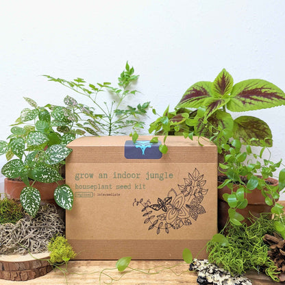 "Grow an Indoor Jungle" Houseplant Seed Kit