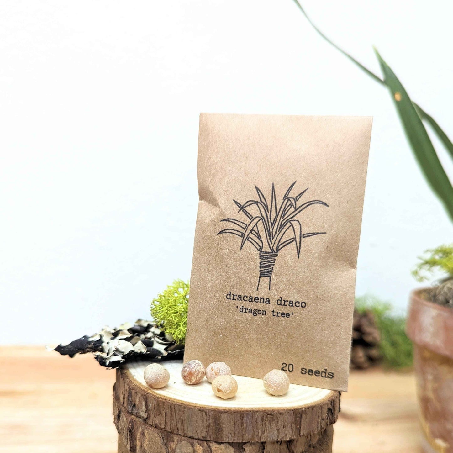 "Grow your own Jungle" Houseplant Seed Collection