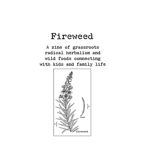Fireweed #1: A Zine of Grassroots Radical Herbalism and Wild Foods Connecting with Kids and Family Life