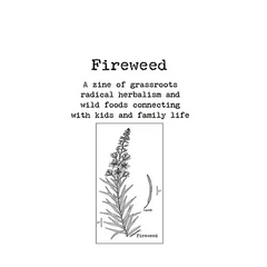 Fireweed #1: A Zine of Grassroots Radical Herbalism and Wild Foods Connecting with Kids and Family Life - Paperback