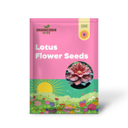 Lotus Flower Seeds