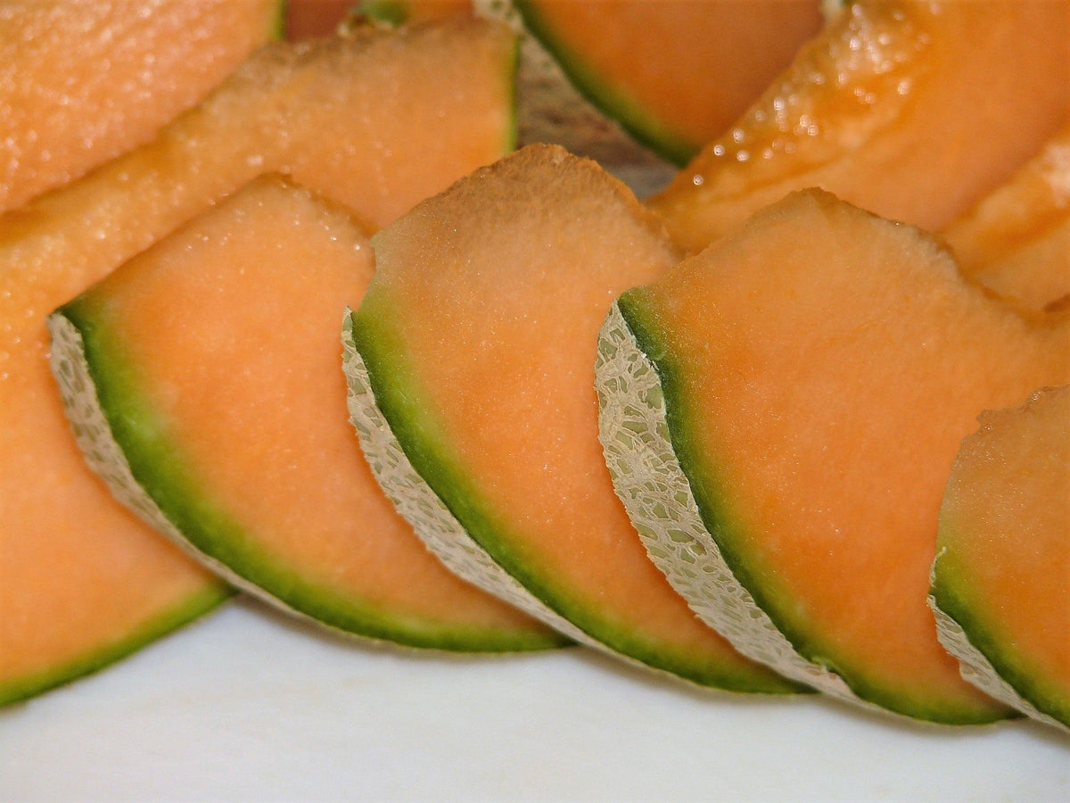 100 Minnesota MIDGET CANTALOUPE MELON Cucumis Melo Reticulatus Fruit Seeds