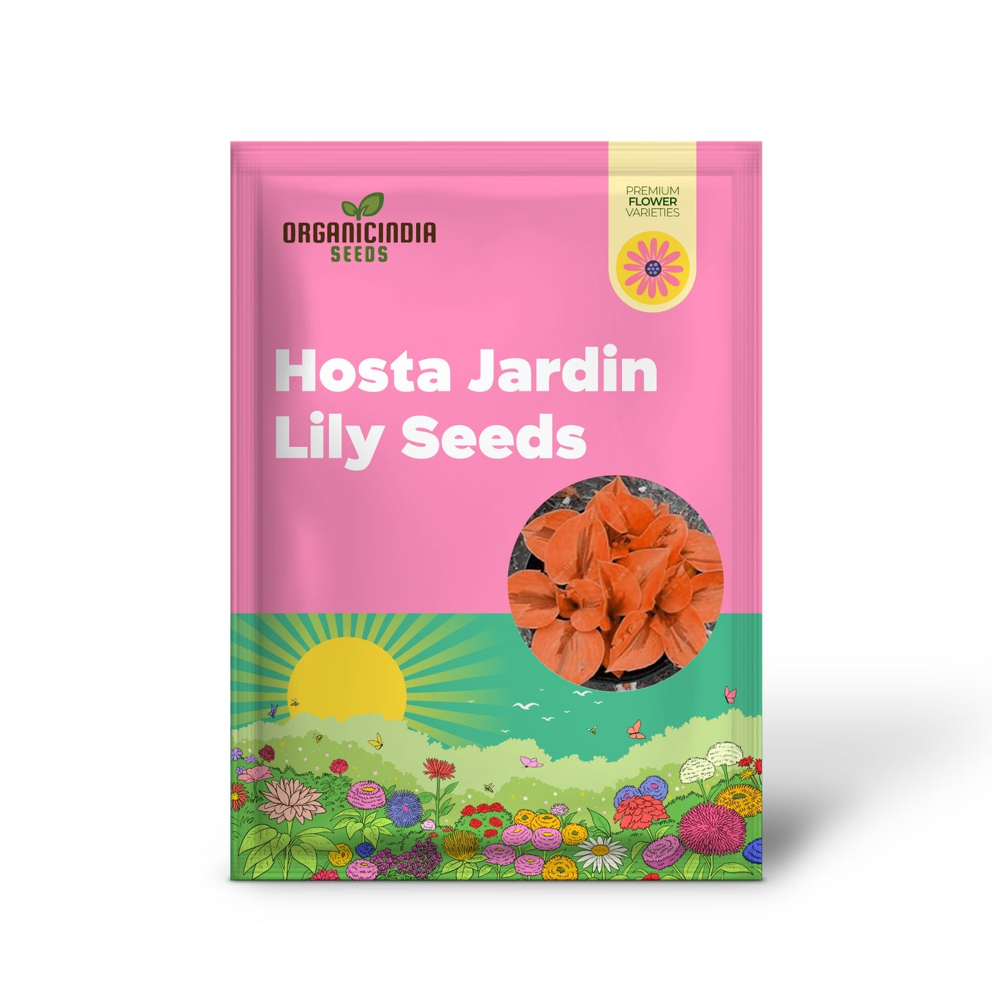 Hosta Jardin Seeds