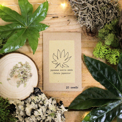 "Houseplant Adventurer" Houseplant Seed Collection