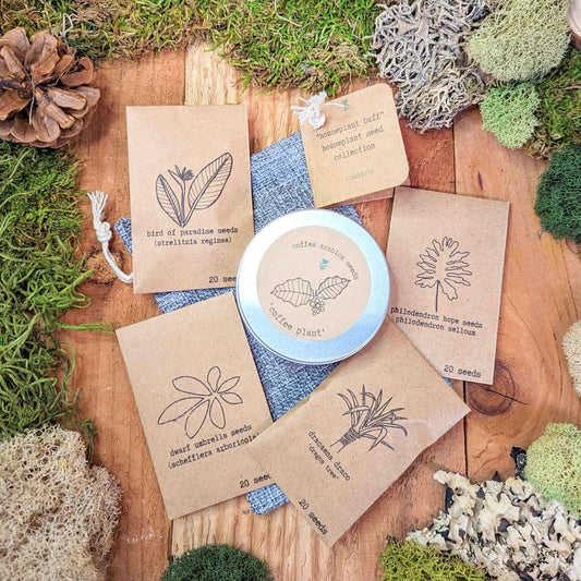 "Houseplant Buff" Houseplant Seed Collection