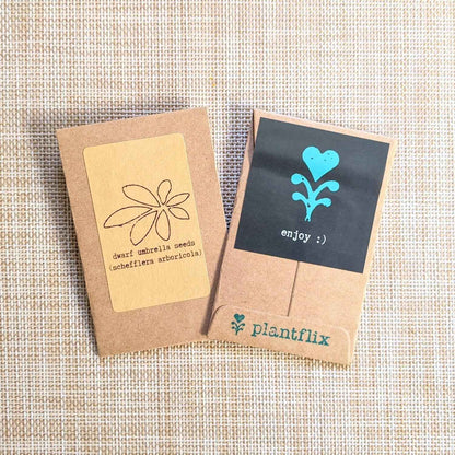 "Houseplant Buff" Houseplant Seed Collection