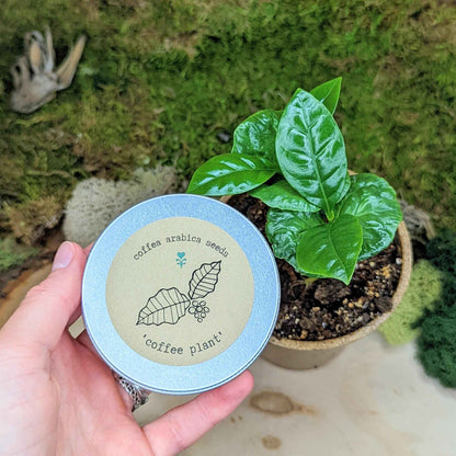 "Houseplant Buff" Houseplant Seed Collection