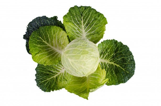 Charleston Wakefield Cabbage (Brassica oleracea var. capitata) Seeds – 300 ct