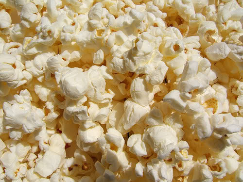 150 LADY FINGERS POPCORN Corn Zea Mays White Yellow Vegetable Seeds