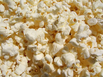 150 LADY FINGERS POPCORN Corn Zea Mays White Yellow Vegetable Seeds