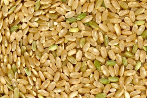 100 Long Grain Rice (Oryza Sativa) Seeds