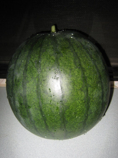 100 Sugar Baby Watermelon (Citrullus lanatus) Seeds