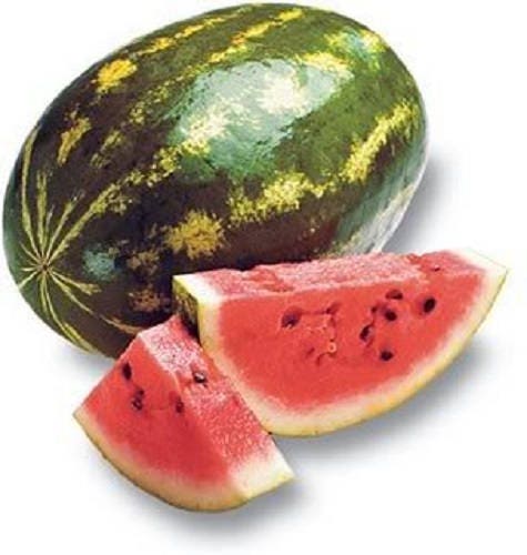100 CRIMSON SWEET WATERMELON Citrullus lanatus Fruit Melon Seeds