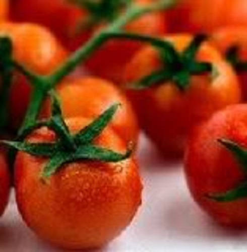 300 SMALL Red CHERRY TOMATO Lycopersicon Lycopersicum Fruit Vegetable Seeds